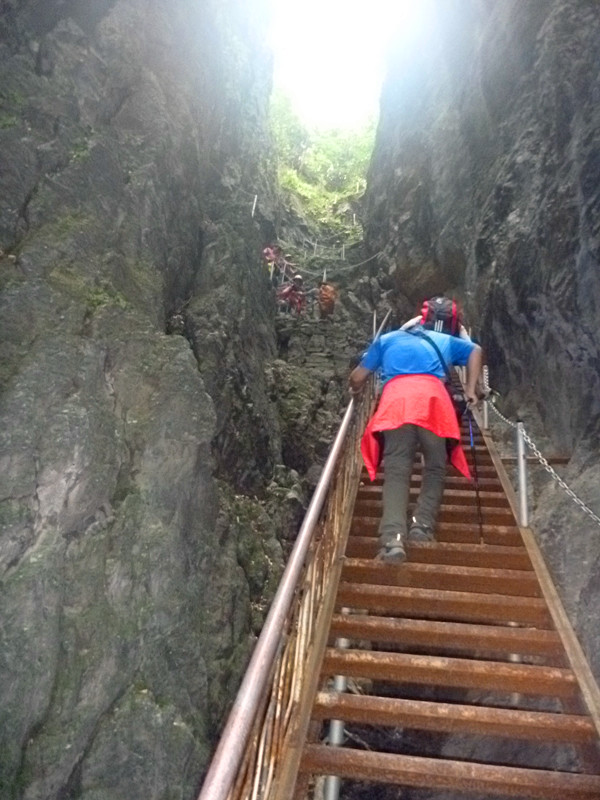 p1160657_.jpg