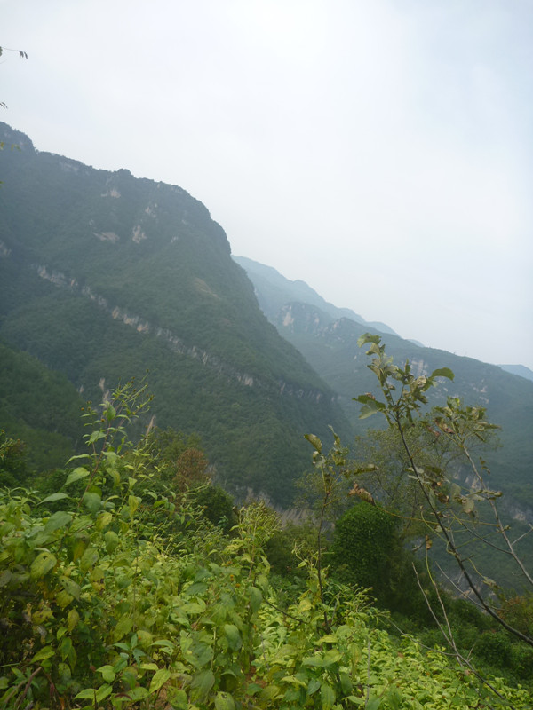 p1160666_.jpg