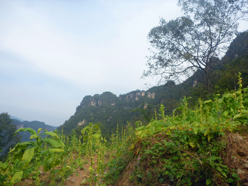 p1160667_.jpg
