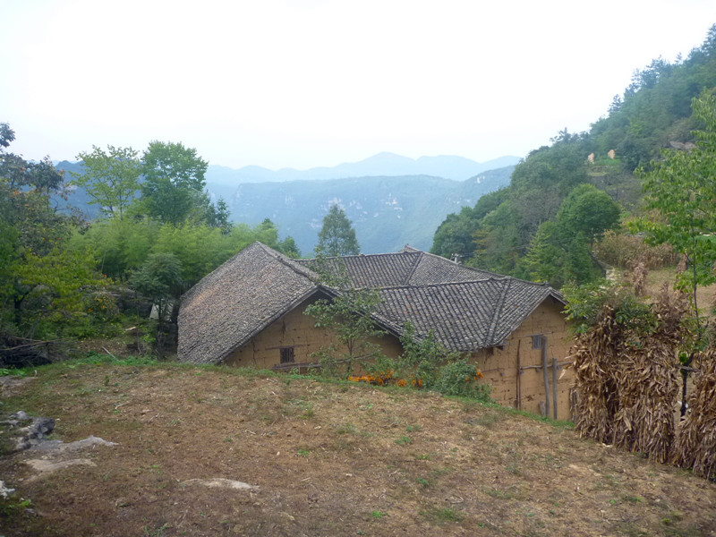p1160668_.jpg