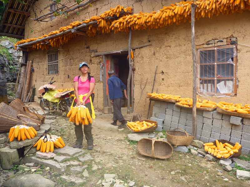 p1160670_.jpg