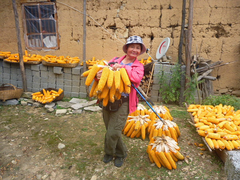 p1160672_.jpg