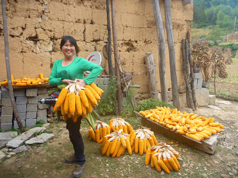 p1160676_.jpg