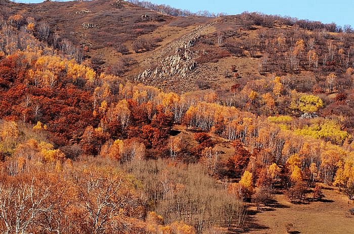 dsc_6267.jpg