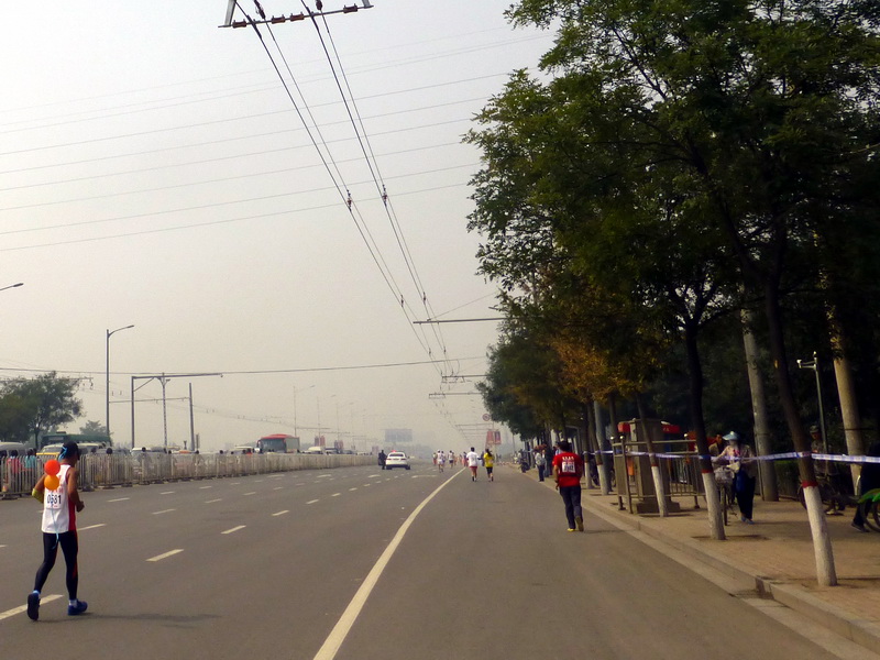 p1130189.jpg