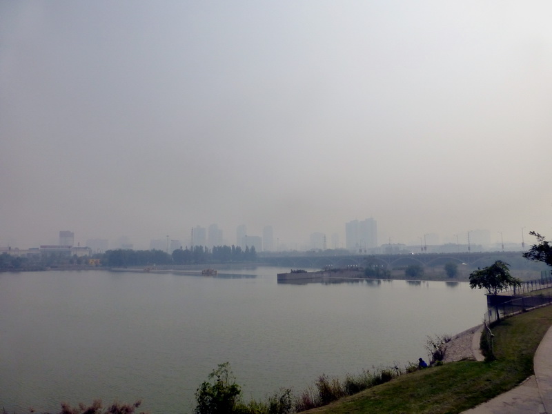 p1130197.jpg