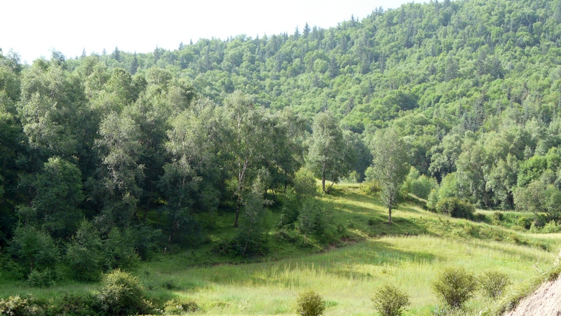 61.jpg