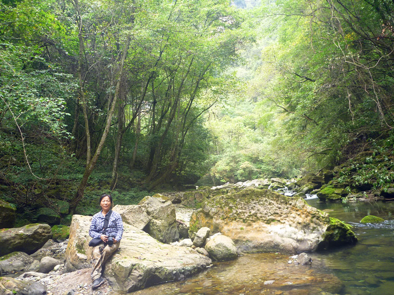 p1160635_.jpg