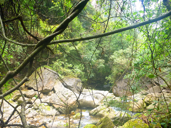 p1160639_.jpg