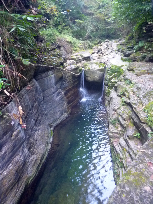 p1160777_.jpg