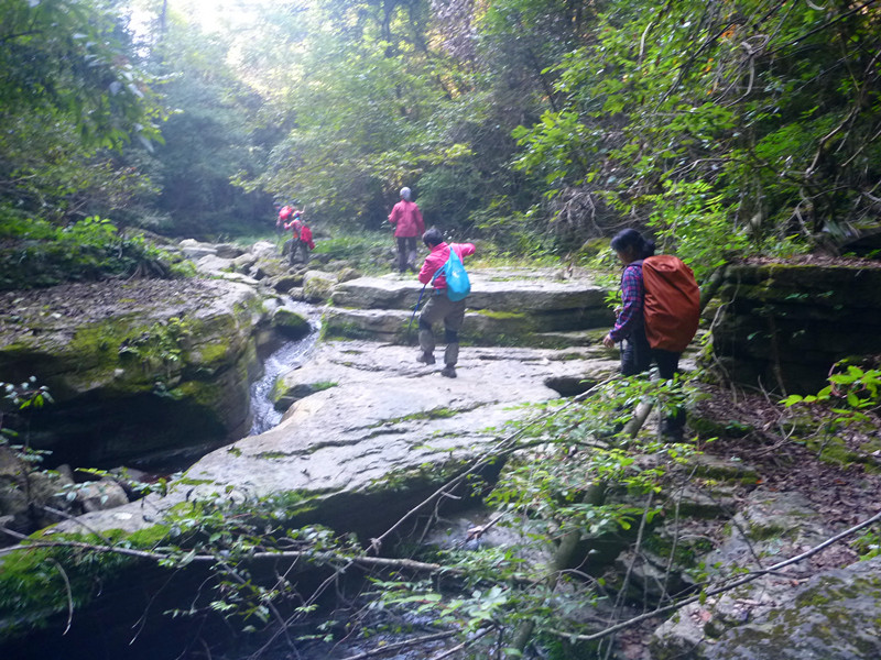p1160793_.jpg