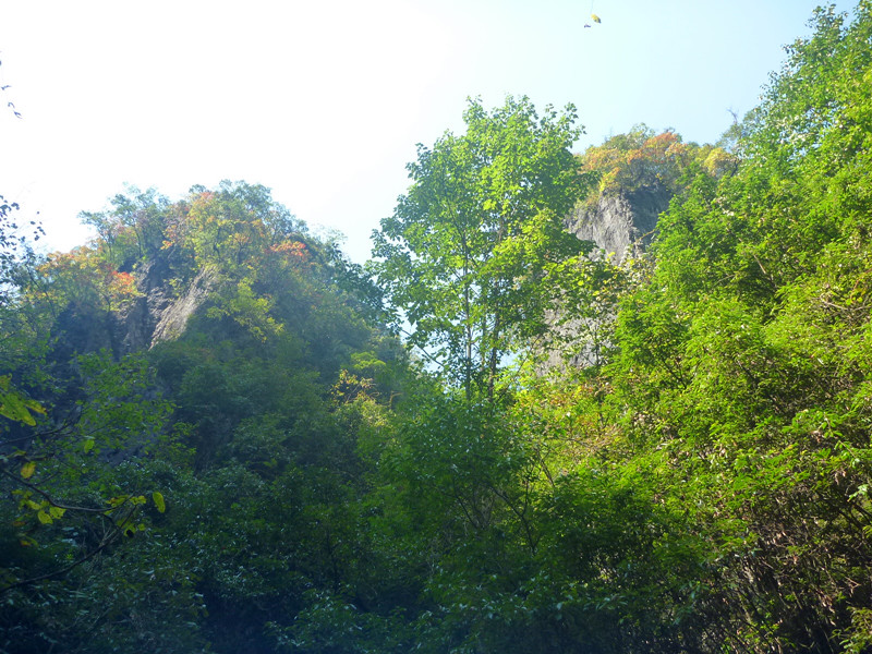 p1160806_.jpg