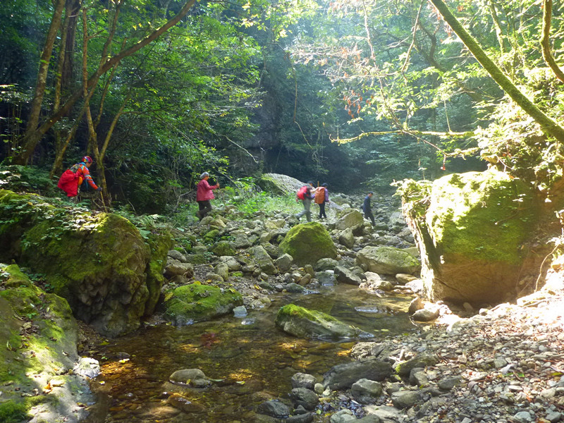 p1160815_.jpg
