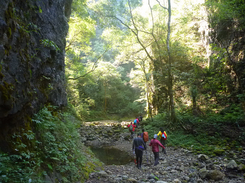 p1160822_.jpg