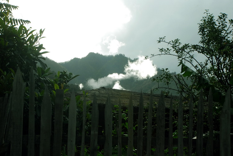 dsc_0379.jpg