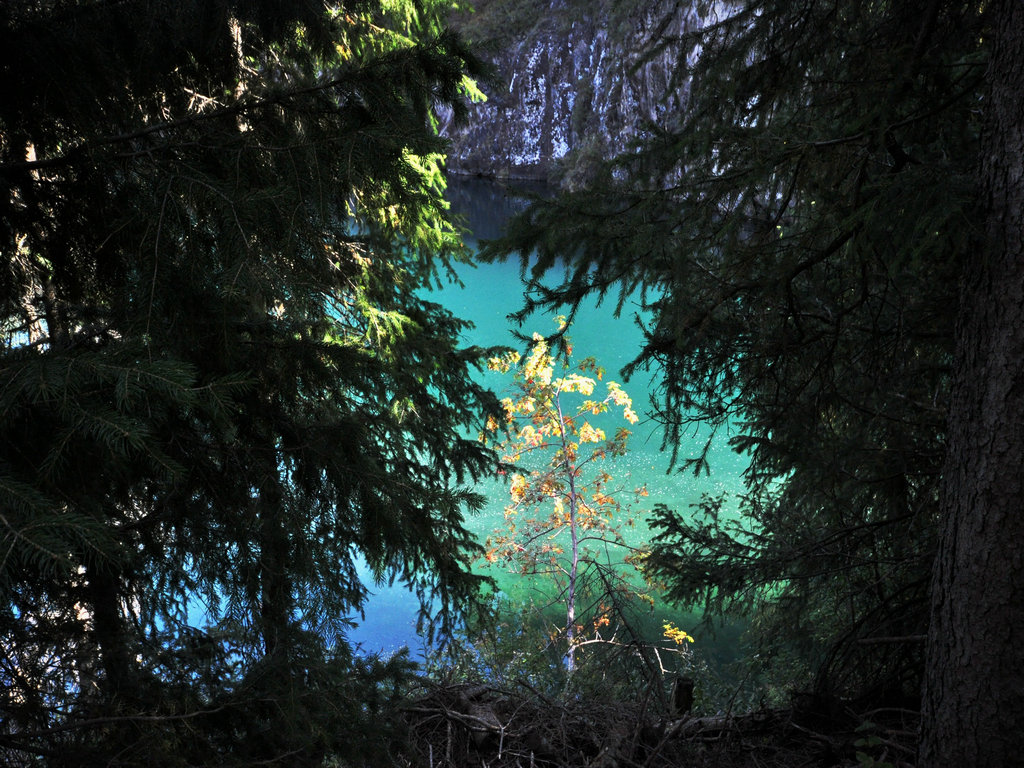 dsc_2595.jpg