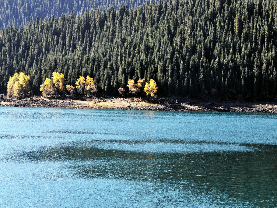 dsc_2559.jpg