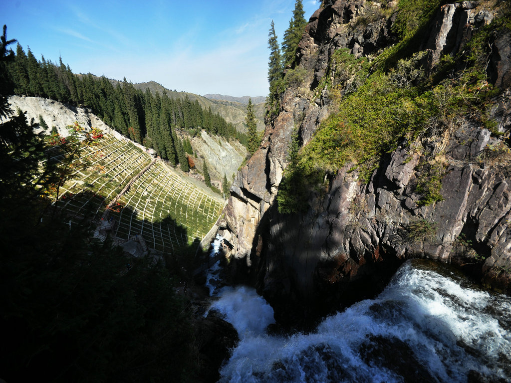 dsc_2601.jpg