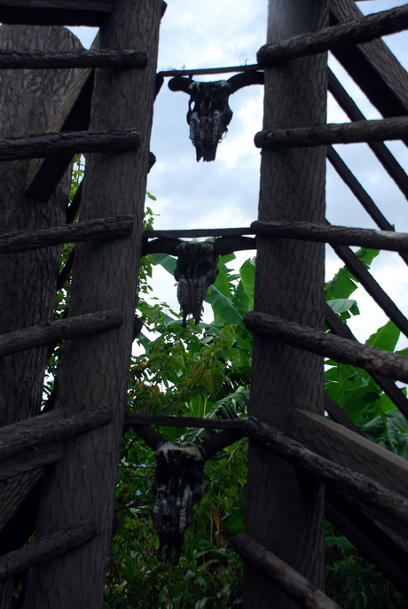 dsc_0443.jpg
