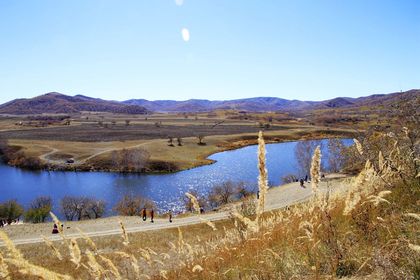 _mg_6595_.jpg