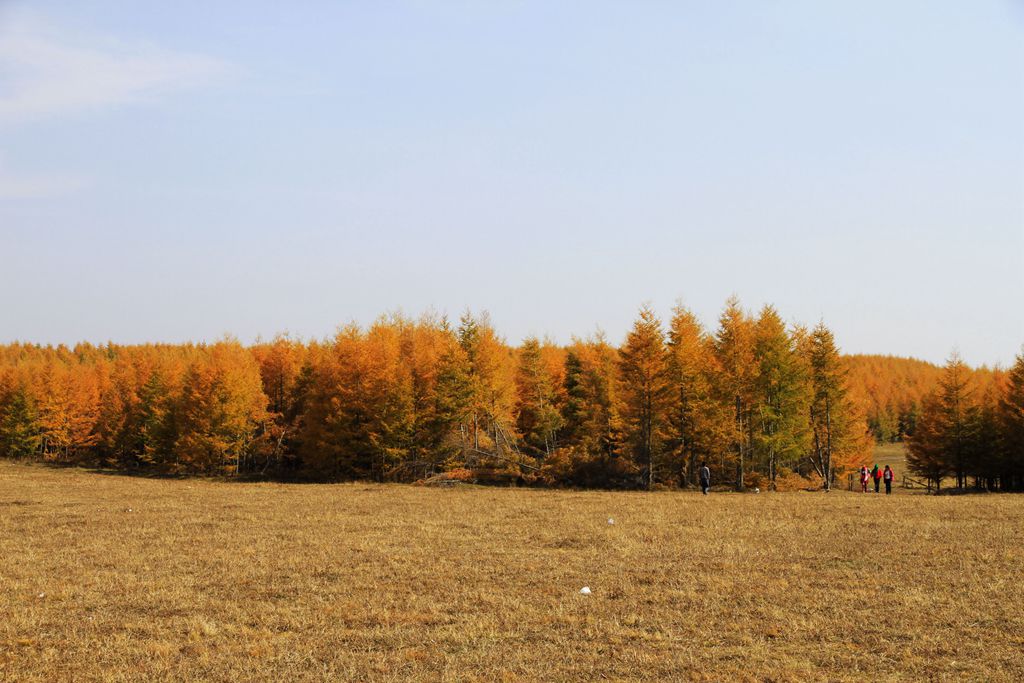 _mg_6830_.jpg