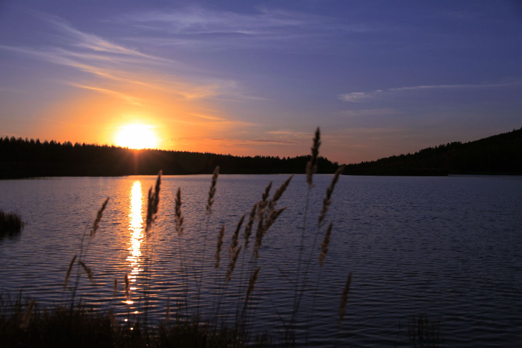 _mg_6647_.jpg