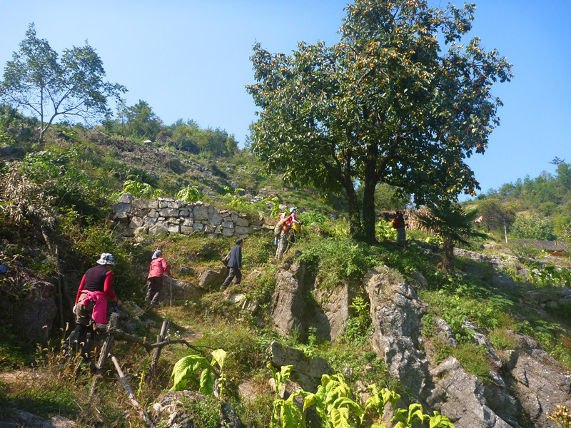 p1160845_.jpg