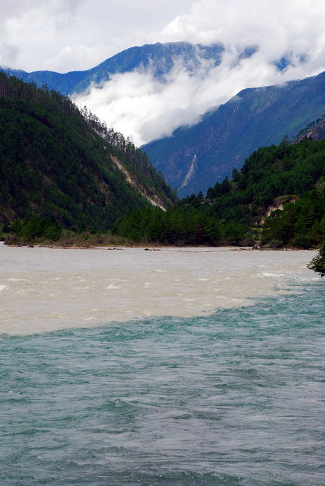 dsc_0347.jpg