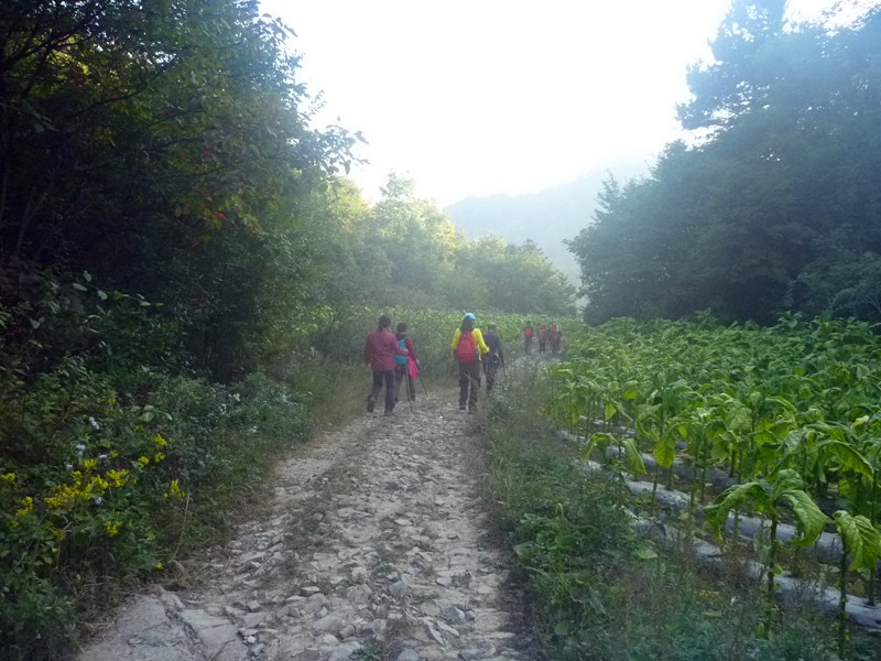 p1160739_.jpg