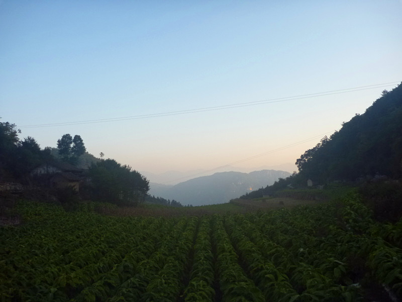 p1160738_.jpg