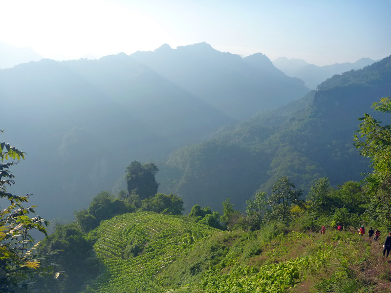 p1160748_.jpg