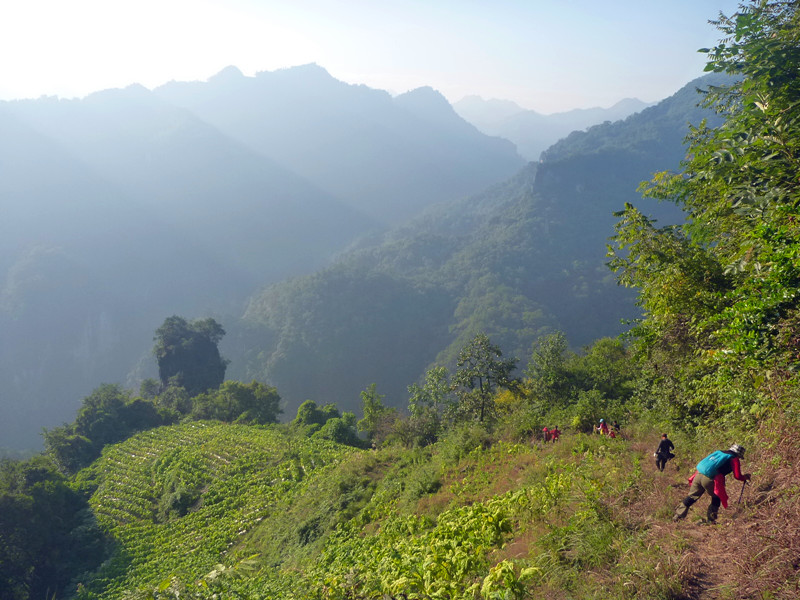 p1160749_.jpg