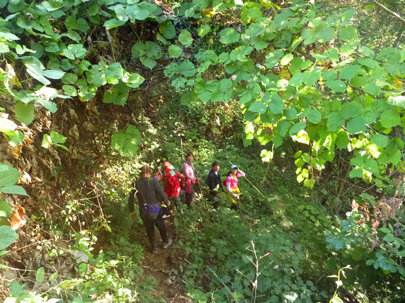 p1160751_.jpg