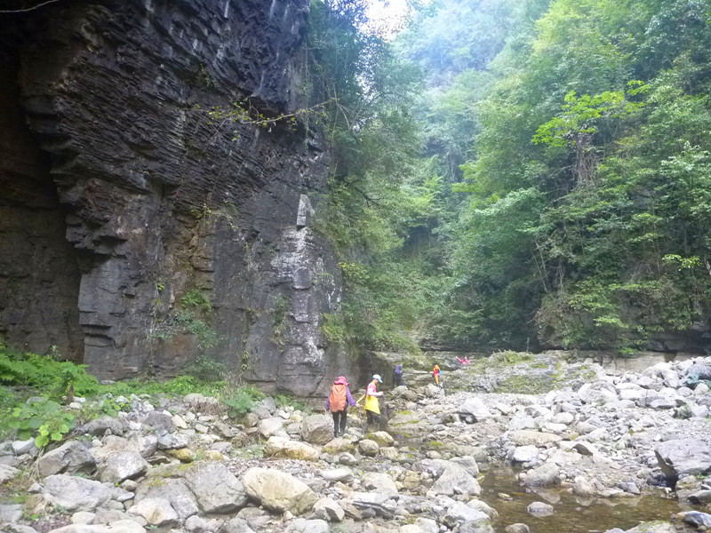 p1160763_.jpg