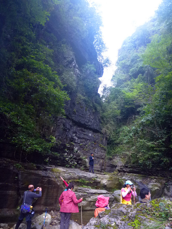 p1160764_.jpg