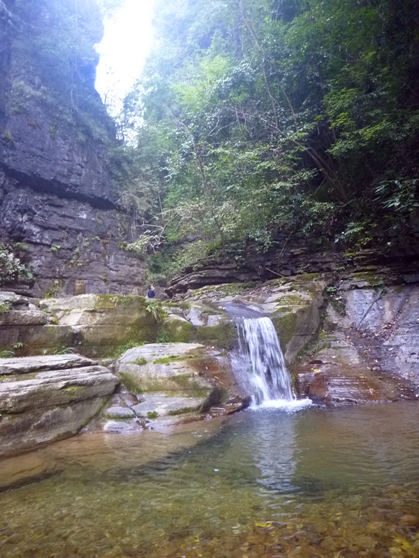 p1160765_.jpg