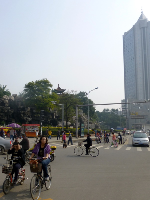 p1130229.jpg