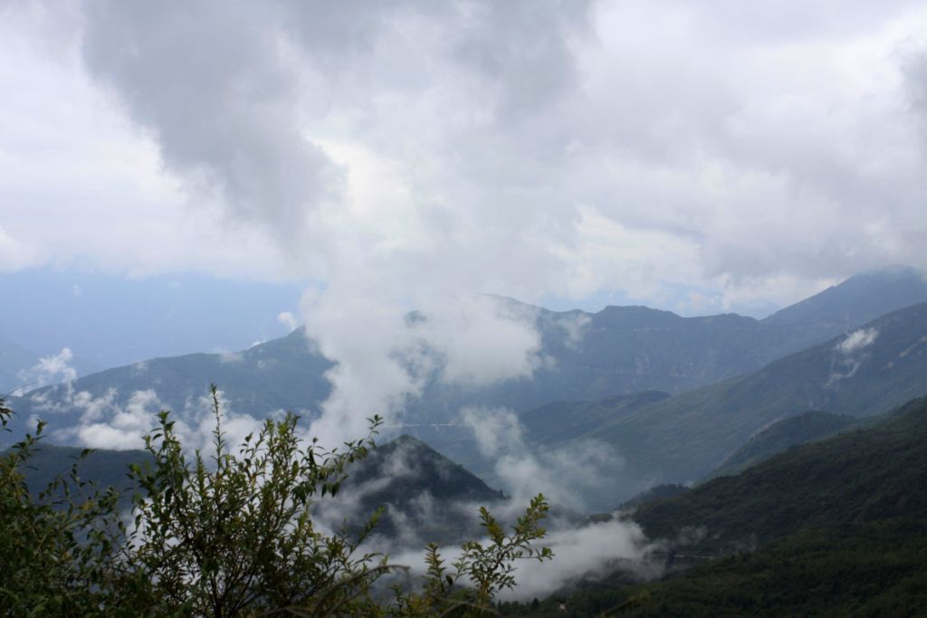 _mg_9645.jpg