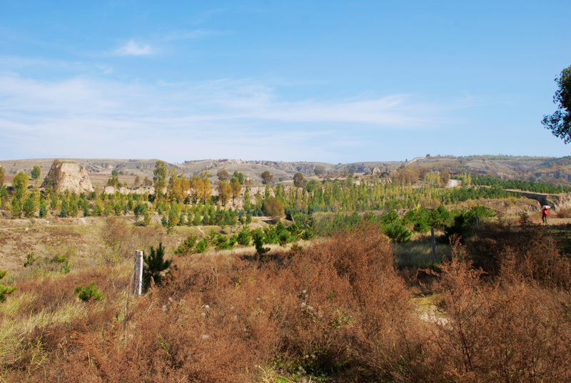 dsc_0683.jpg