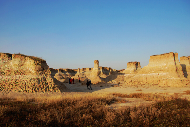 dsc_0793.jpg