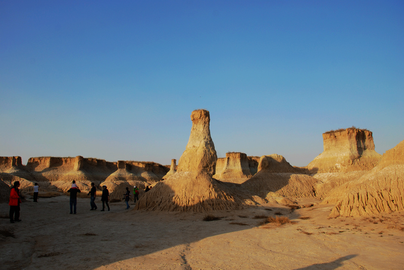 dsc_0797.jpg
