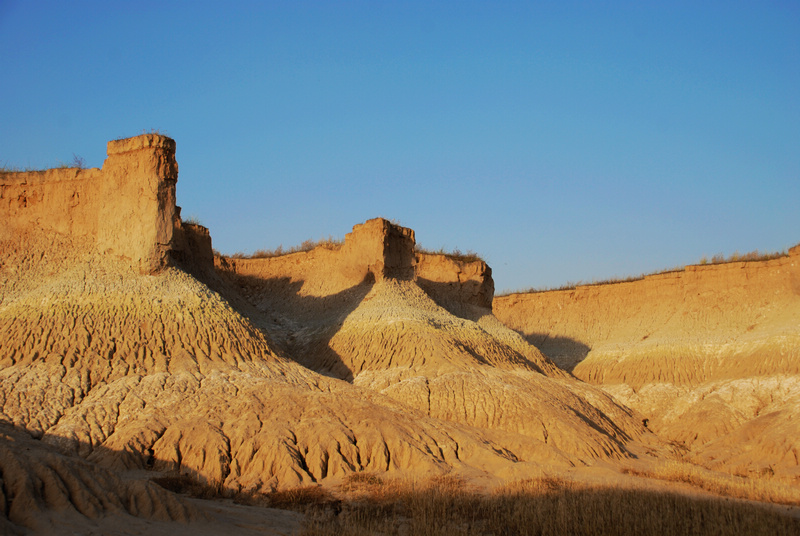 dsc_0802.jpg