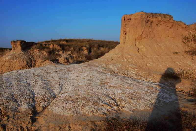 dsc_0847.jpg