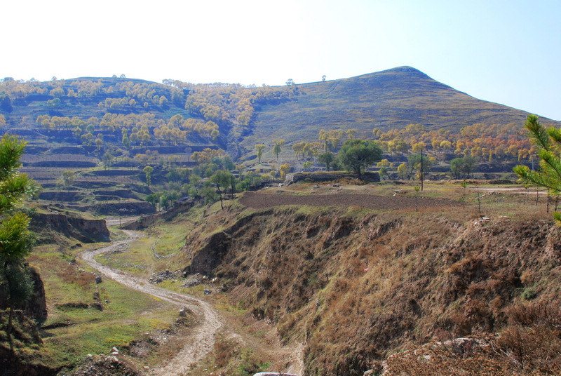 dsc_0871.jpg