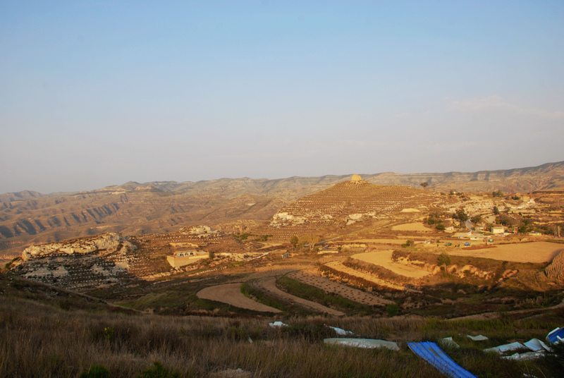 dsc_0893.jpg