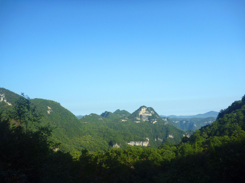 p1160874_.jpg