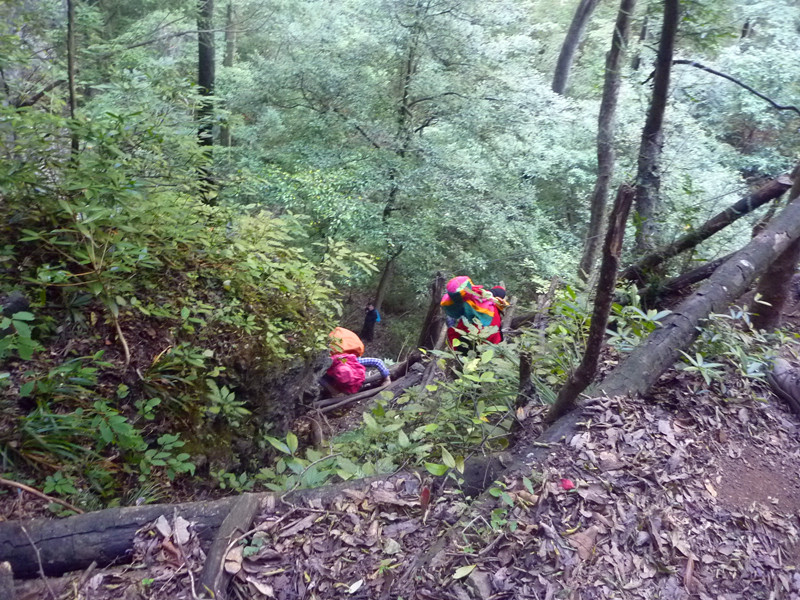 p1160895_.jpg
