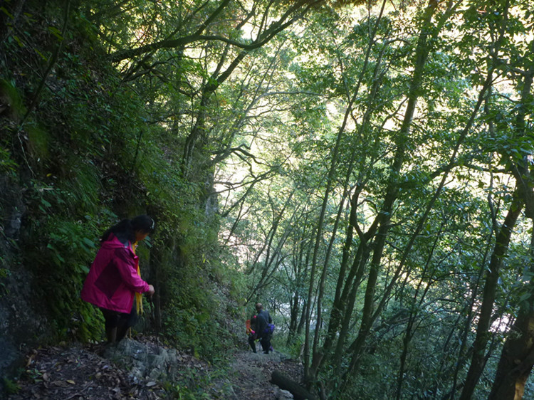 p1160892_.jpg