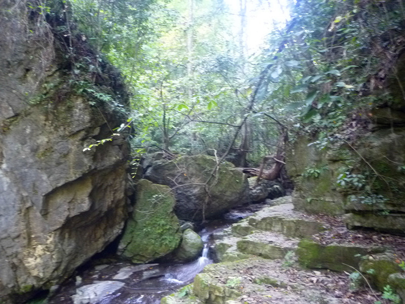 p1160925_.jpg