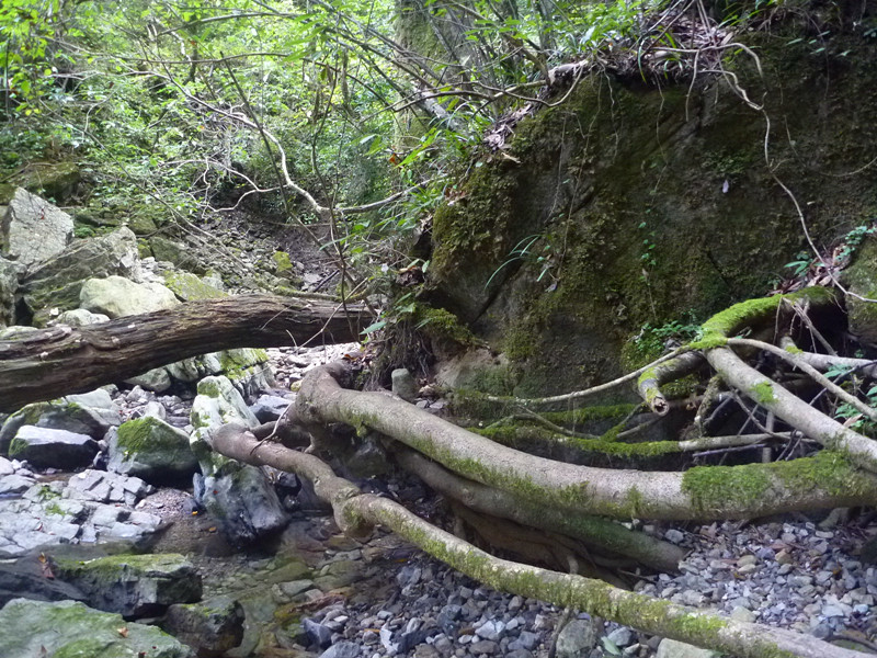 p1160922_.jpg